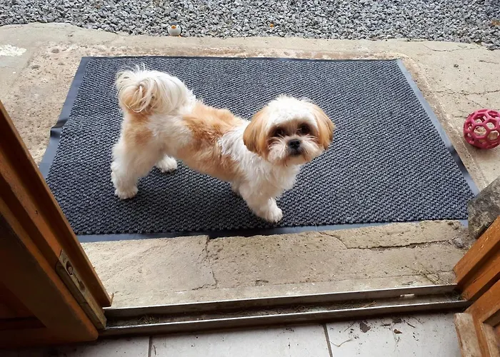 Bed and Breakfast D'hotes Chez Barbara Tardets-Sorholus